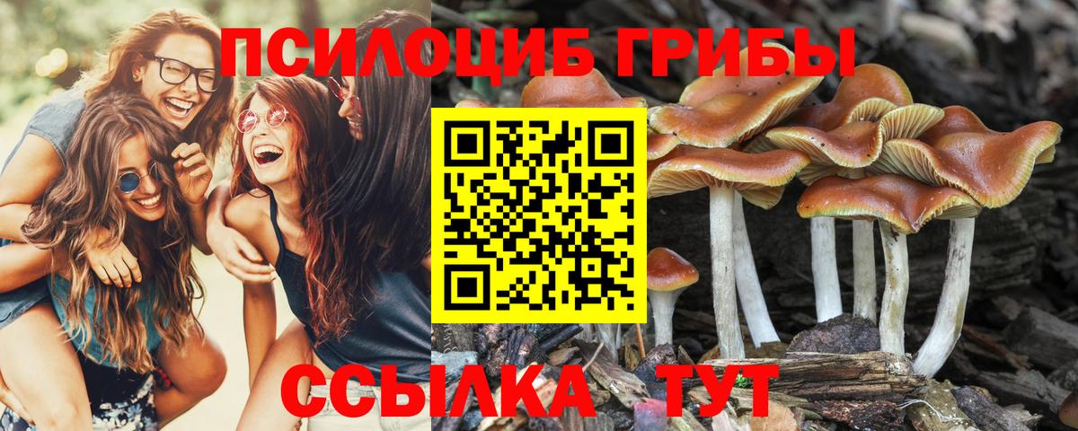 Унеча  Галлюциногенные грибы Magic Shrooms  Вход с VPN 