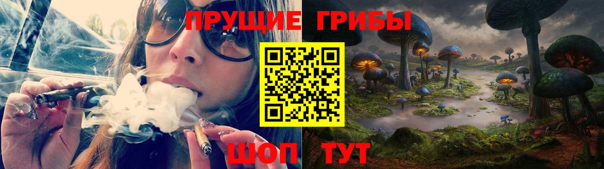 Псилоцибиновые грибы GOLDEN TEACHER Унеча